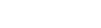 21 Skin